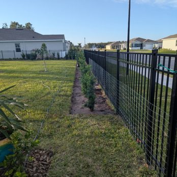 Dean Schmaltz Landscaping & Pressure Washing - Removed grass for planting Podocarpis bushes - Lawn Services Near Me - Ormond Beach, Florida Dean Schmaltz Landscaping & Pressure Washing - Removed grass for planting Podocarpis bushes - Lawn Services Near Me - Ormond Beach, Florida