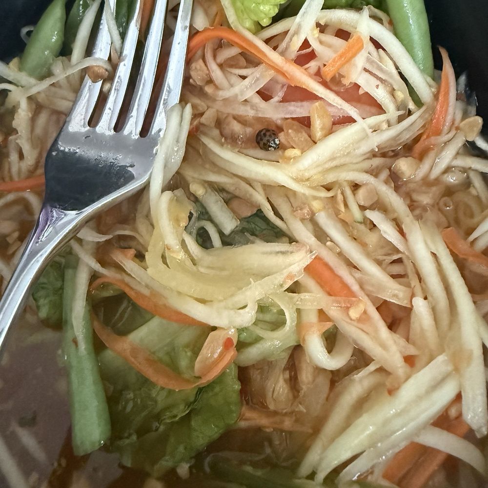 Linjee Thai - Thai Near Me - Alexandria, Virginia Linjee Thai - Thai Near Me - Alexandria, Virginia