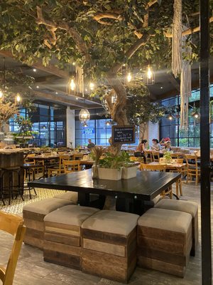 The Wholesome Table Salcedo by null