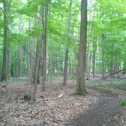 Burton Wetlands State Nature Preserve - Kettle Trail (June 2013)
