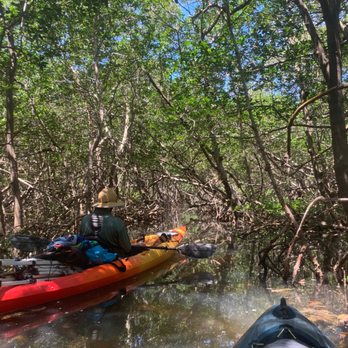 Wandering Adventures - Mangrove tunnel on the Shell Key tour - Rafting/Kayaking Near Me Wandering Adventures - Mangrove tunnel on the Shell Key tour - Rafting/Kayaking Near Me