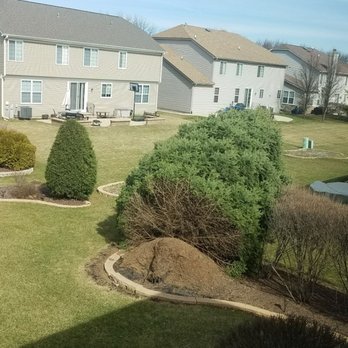 Kramer Tree Specialists - Tree Services Near Me - West Chicago, Illinois