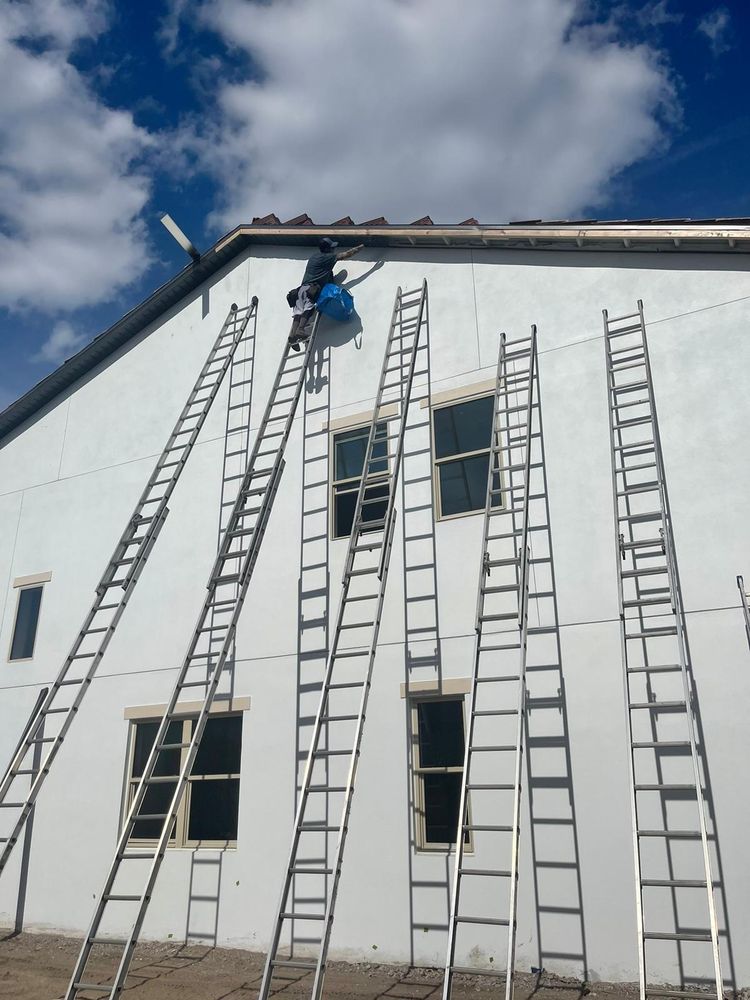 Slide of Octopus Soffit and Fascia