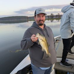 Allen's Guide and Tour Service