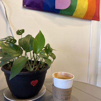 Ocean Beach Coffee and plants - Coffee and Plant - Coffee & Tea Near Me - San Diego, California Ocean Beach Coffee and plants - Coffee and Plant - Coffee & Tea Near Me - San Diego, California