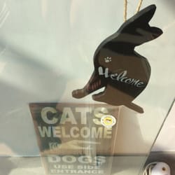 Something About Cats - Hahahah