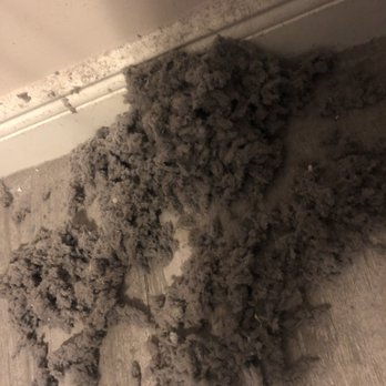 Vivs Vent Cleaning - Dryer Vent Cleaning In Parkland! - Air Duct Cleaning Near Me Vivs Vent Cleaning - Dryer Vent Cleaning In Parkland! - Air Duct Cleaning Near Me