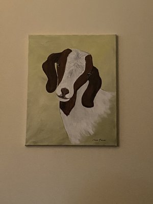 The French Goat by null