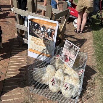 Richmond VegFest - Festivals Near Me - Richmond, Virginia Richmond VegFest - Festivals Near Me - Richmond, Virginia