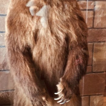 Jackson Lake Lodge - Hotels Near Me - Moran, Wyoming