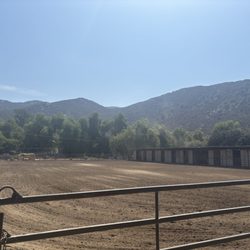 Willow Glen Equestrian - Cutting arena