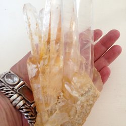 Crystal Wings Bookstore - My most recent one from Bill
