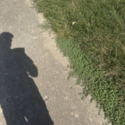 Loyalty Lawn Care