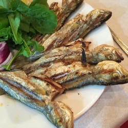 Yakamoz Balıkçılık - Yummy