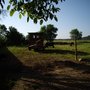 Photo of Pferde&Angus Ranch Bauer