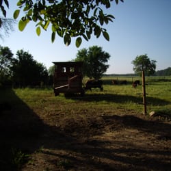 Pferde&Angus Ranch Bauer