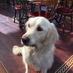 First And Last - Luna in the Breakfast room