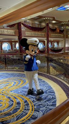 Disney Dream by null