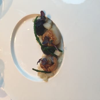 The College Hotel - Scallops from the taster menu - Hotels Near Me - Amsterdam, New Hampshire The College Hotel - Scallops from the taster menu - Hotels Near Me - Amsterdam, New Hampshire