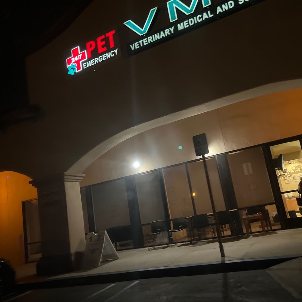 Jungle Leaf Paper Cutouts 36 Count 54 OFF Jungle Leaf Paper Cutouts 36 Count 54 OFF