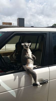 park feed store & pet supply