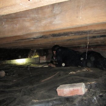 HomeKey Inspections - Crawlspaces are where we find the most problems! - Home Inspectors Near Me HomeKey Inspections - Crawlspaces are where we find the most problems! - Home Inspectors Near Me