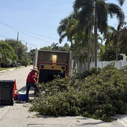 EBM Property Maintenance - Professional tree service
