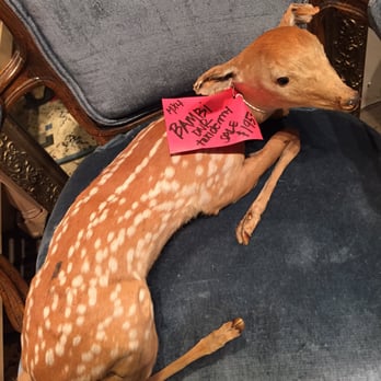 Hunt & Gather - Antiques Near Me - Minneapolis, Minnesota