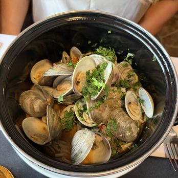 Trident Sea to Table - Clam linguini. - Seafood Near Me - Seneca, South Carolina Trident Sea to Table - Clam linguini. - Seafood Near Me - Seneca, South Carolina
