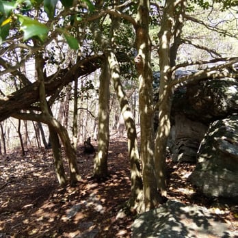 Hanging Rock State Park - Parks Near Me - Westfield, North Carolina