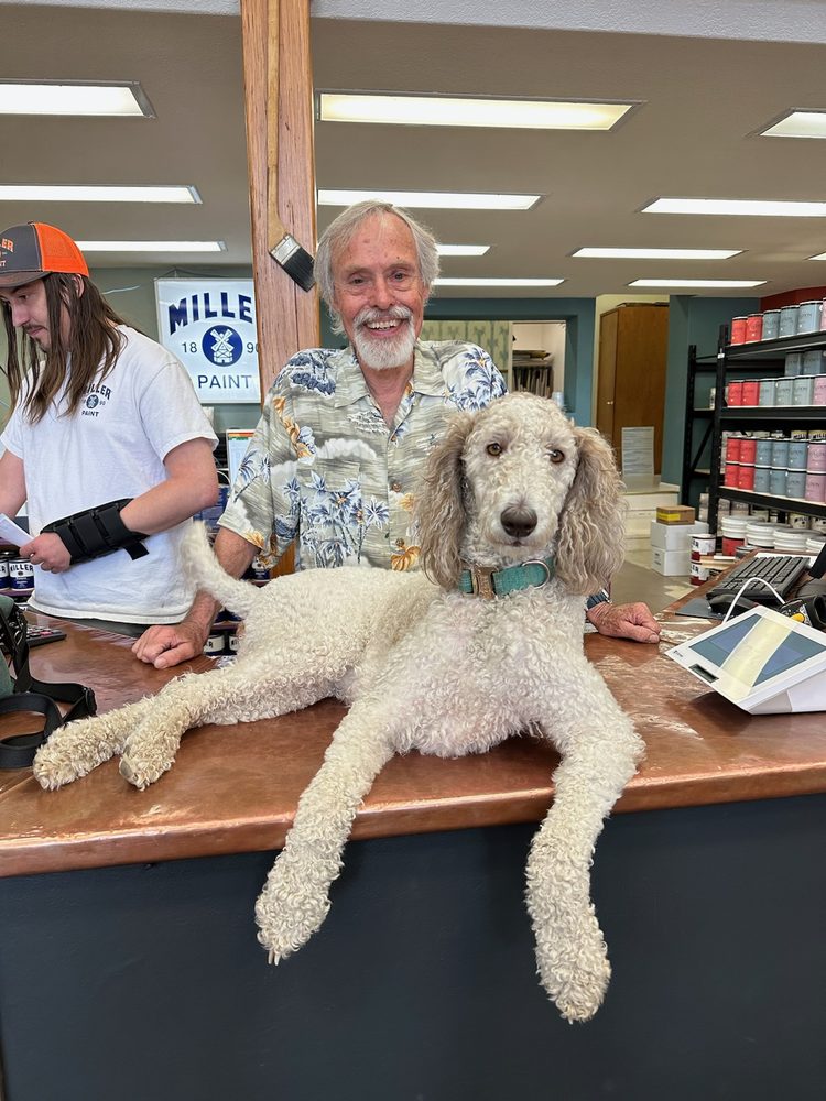 THE PAINT BUCKET SANDPOINT Updated October 2024 714 Pine St