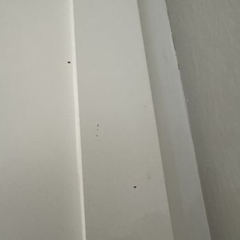 Gen 2 Cleaners - Home Cleaning Near Me