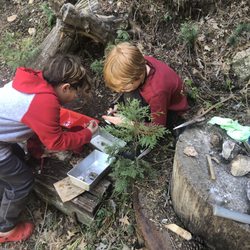 Earth Treasures - We got a couple hours of fun out of the geodes the boys took home.