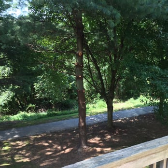 Garcia's Tree Experts - Tree Services Near Me - Bowie, Maryland