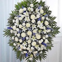 Christiana Flower & Gifts - What I ordered...