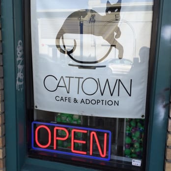 Cat Town - Animal Shelters Near Me - Oakland, California Cat Town - Animal Shelters Near Me - Oakland, California