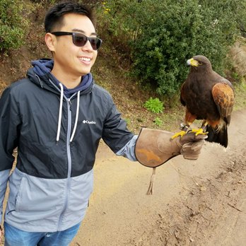 Sky Falconry - Specialty Schools Near Me - Alpine, California Sky Falconry - Specialty Schools Near Me - Alpine, California