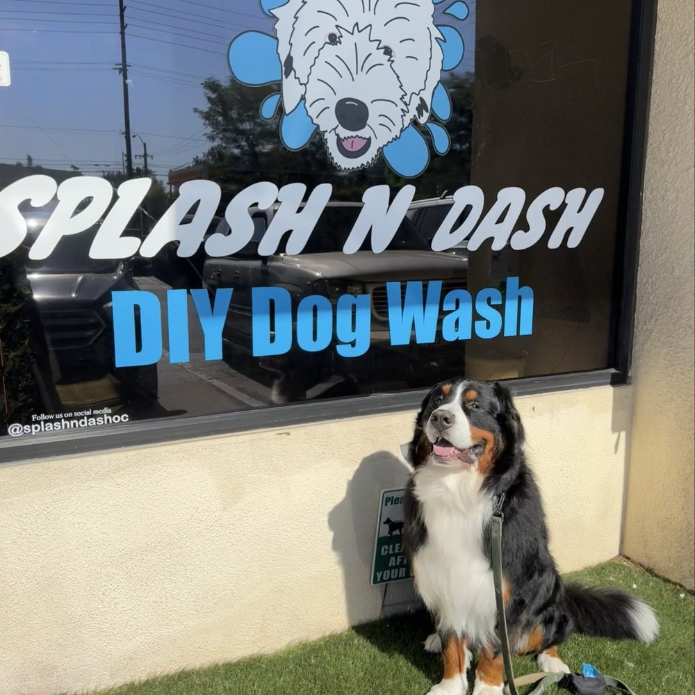 Splash N Dash DIY Dog Wash - Pet Groomers Near Me - Orange, California