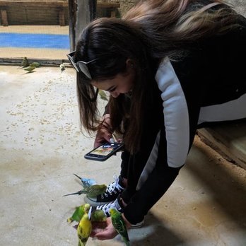 SeaQuest - Utah - Such an incredible interactive hands on experience we - Aquariums Near Me - Layton, Utah SeaQuest - Utah - Such an incredible interactive hands on experience we - Aquariums Near Me - Layton, Utah