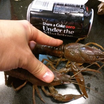 LA Crawfish - Sizes are great in their live sacks! - Cajun/Creole Near Me - Houston, Texas