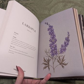 The Noble Capybara - The image shows an open book held by a person's hand, resting on a textured green surface. The left page contains text about the plant Larkspur, including its meaning, origin, and symbolism. The right page displays a detailed botanical illustration of lavender, with purple flowers and greenish-brown stems and leaves, set against a light background. - Used Bookstore Near Me - Lisle, Illinois