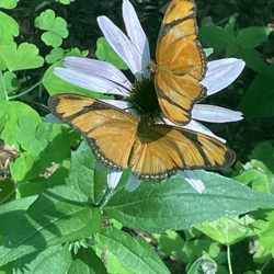 Sarett Nature Center
