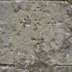 Church of St Mary the Virgin, Climping