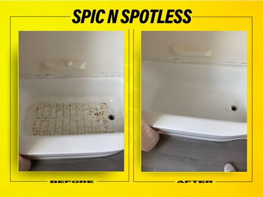 Spic N Spotless