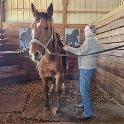 Hell Creek Equestrian Center
