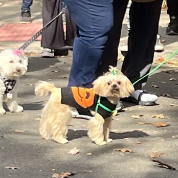 Mary E Sheridan Park - Cuteness overload - Parks Near Me - Lambertville, New Jersey