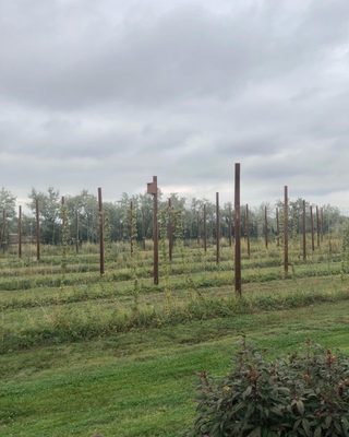 High Hops Brewery by null