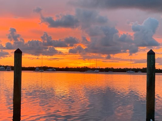 Coconut Palm Inn by null