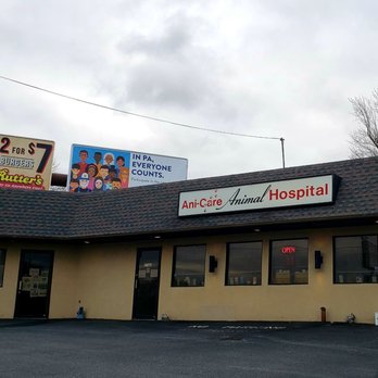 charles e london animal hospital