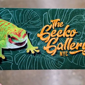 The Gecko Gallery - May 9, 2026. - Museums Near Me - Brooklyn, New York The Gecko Gallery - May 9, 2026. - Museums Near Me - Brooklyn, New York